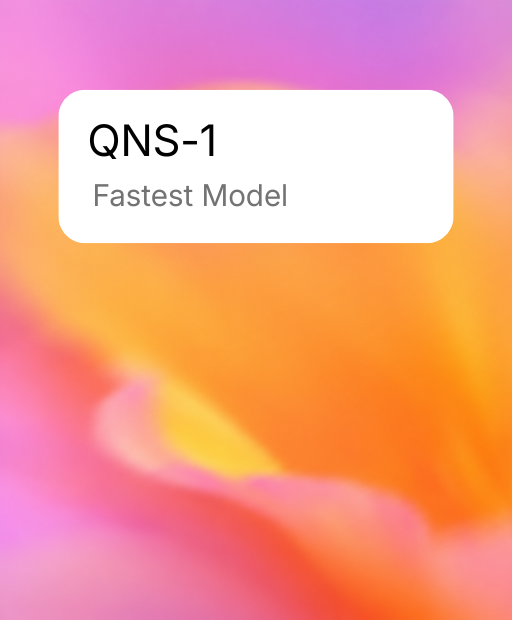 QNS-1 fastest model visual